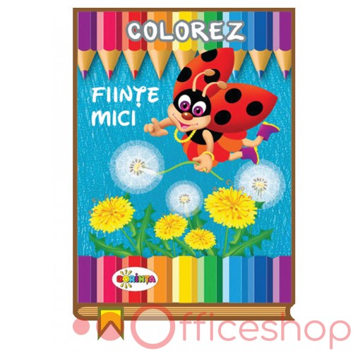 Carte de colorat 13 x 20 cm "Ființe mici"  16 file 14289