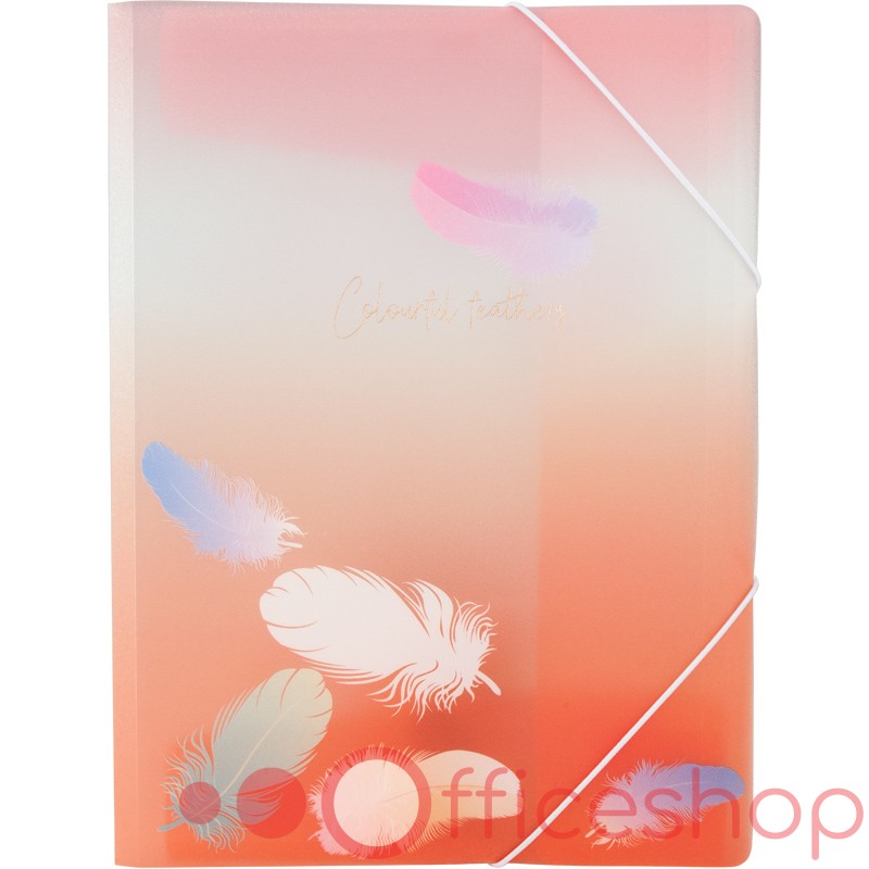 Папка на резинках Axent Colourful Feather 04, A4+, 1507-94-A